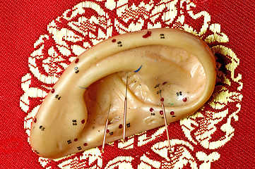 Image showing Acupuncture needle on ear model