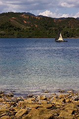 Image showing tropical navigable  coastline 