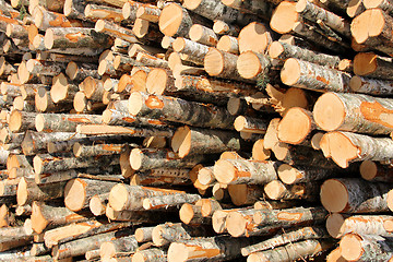 Image showing Stack of Logs Detail