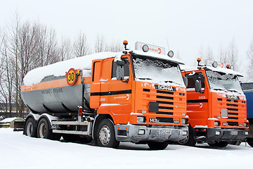 Image showing Row of Orange Scania Trucks