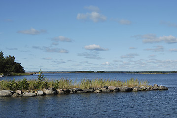 Image showing Baltic Horizon