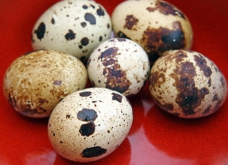 Image showing quail eggs in red bowl