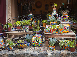 Image showing Outdoor Shop of Decorative Pots and Succulents