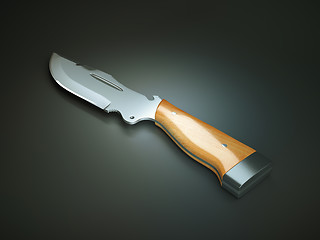 Image showing Weapon: hunting knife with large blade