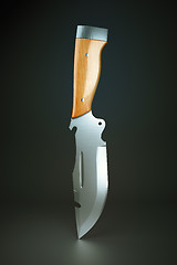 Image showing Hunting knife with wooden handle