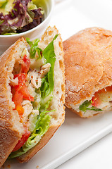 Image showing ciabatta panini sandwich with chicken and tomato