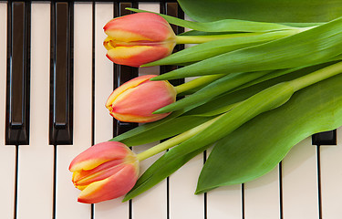 Image showing Music and flowers