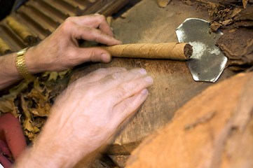 Image showing hand made cigars