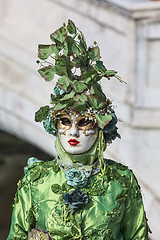 Image showing Green Disguise