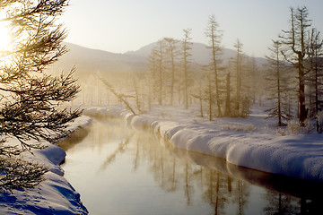 Image showing The wood river in the morning