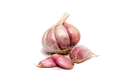 Image showing Garlic