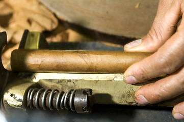 Image showing hand made cigars