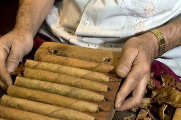 Image showing hand made cigars