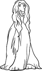 Image showing afghan hound dog cartoon for coloring book