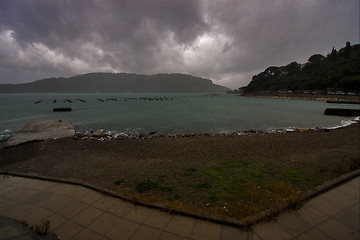 Image showing  water and autumn in porto venere 