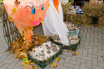 Image showing delicatessen natural ecologic mushroom street fair 