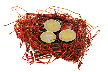 Image showing red bird nest euro coins money concept white 