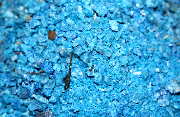 Image showing Spice blue