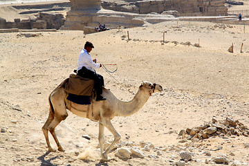 Image showing Egyptian policeman on a camel