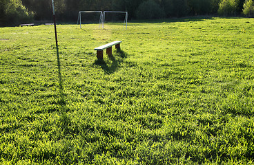 Image showing Lawn grasses