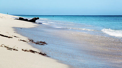 Image showing Seascape at the beach