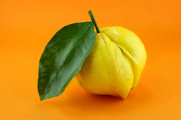 Image showing lemon