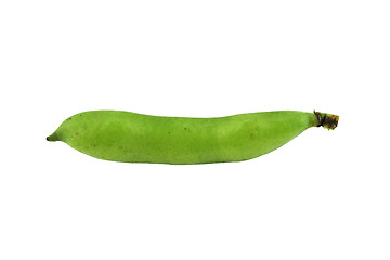 Image showing broad bean pods and beans