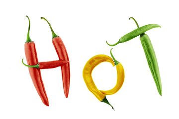 Image showing Hot chili 