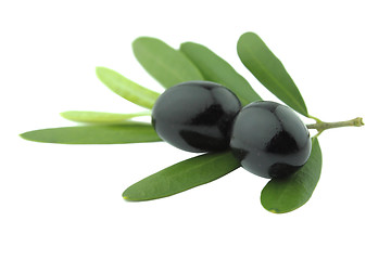 Image showing Black Olives