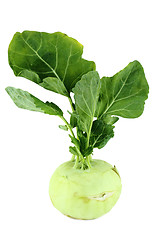 Image showing Cabbage kohlrabi