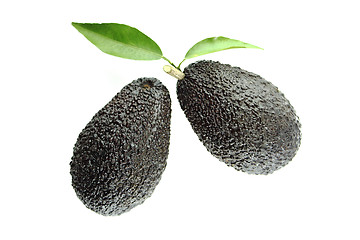 Image showing Avocados