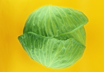 Image showing fresh green cabbage