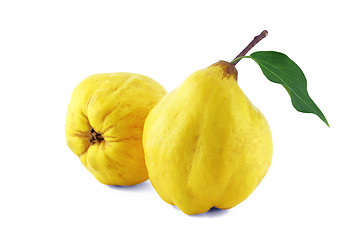 Image showing Sweet quinces