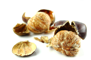 Image showing Sweet chestnuts