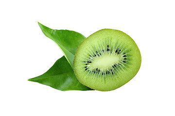 Image showing kiwi fruit