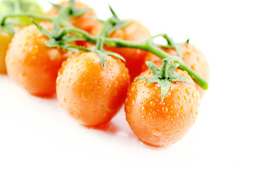 Image showing fresh cherry tomatoes