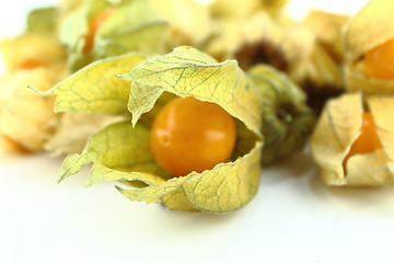 Image showing Cape gooseberry