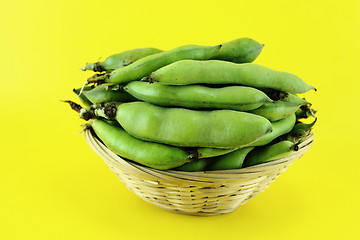 Image showing broad bean pods and beans