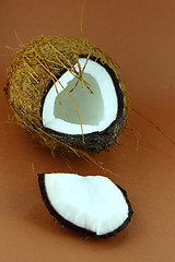 Image showing fresh Coconuts