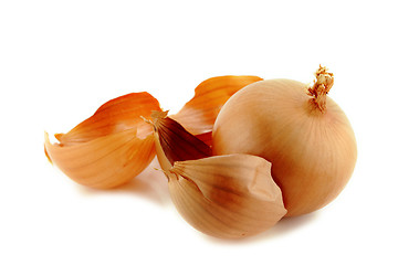 Image showing Ripe golden onions