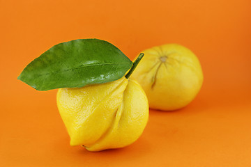 Image showing lemon