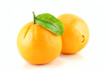 Image showing Orange Fruit