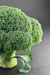 Image showing Fresh broccoli