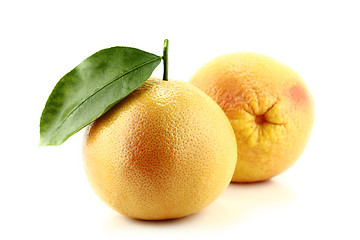 Image showing Grapefruit