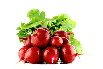 Image showing red radish