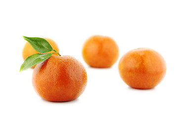 Image showing fresh mandarin