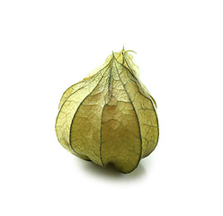 Image showing Cape gooseberry