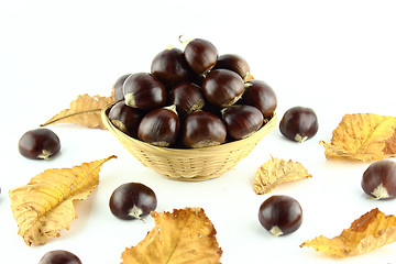 Image showing Sweet chestnuts