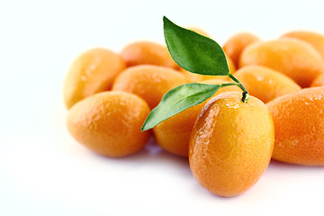 Image showing Small Orange Fruit