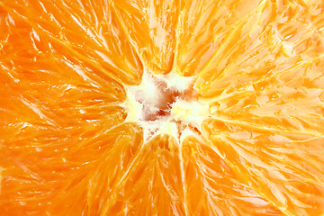 Image showing Orange slices